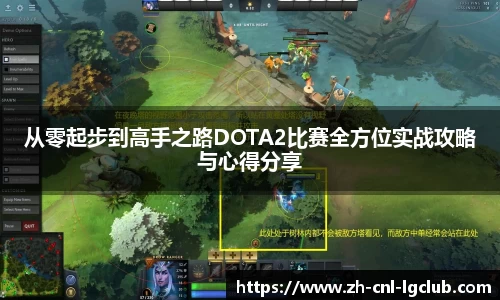 从零起步到高手之路DOTA2比赛全方位实战攻略与心得分享